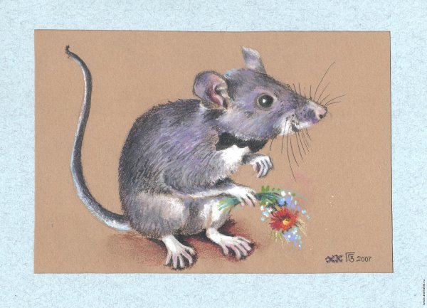 Крыса художник рисунок