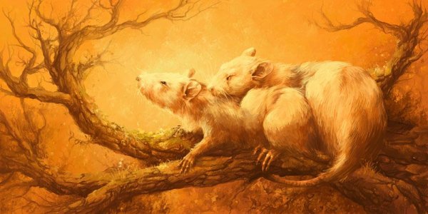 Крыса фэнтези красивая