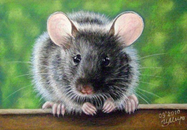 Мыши в живописи