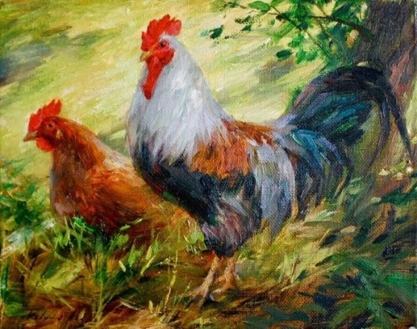 Петух живопись маслом