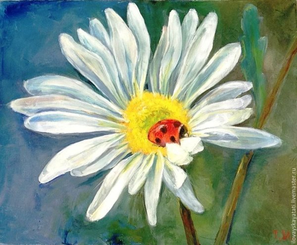 Ромашки гуашью