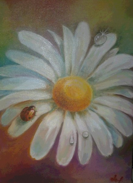 Ромашки маслом