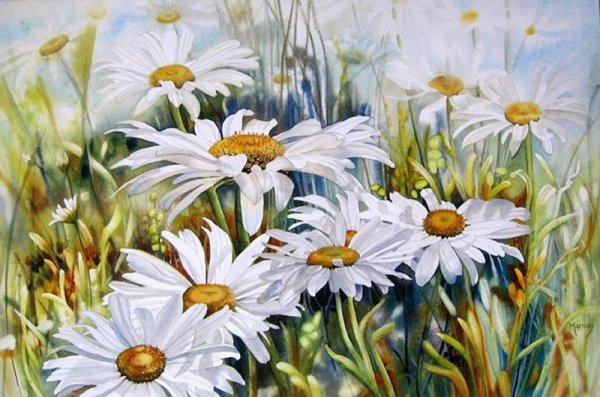 Картина Ромашковое поле