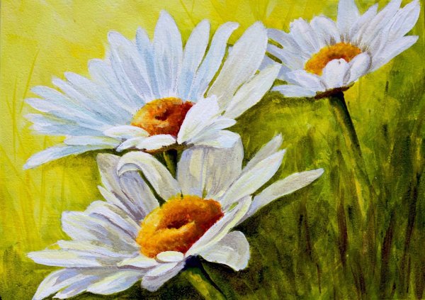 Пейзаж с ромашками живопись