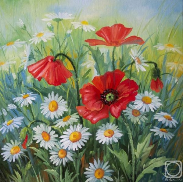Живопись Мак и ромашки
