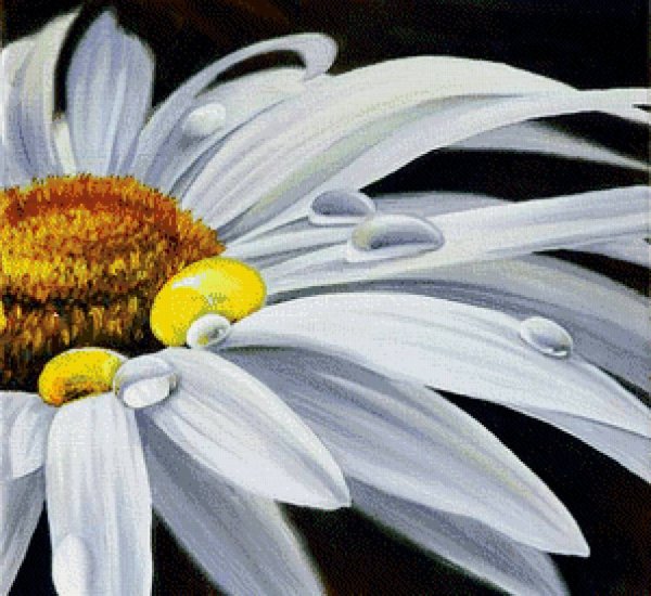 Ромашки живопись акрилом