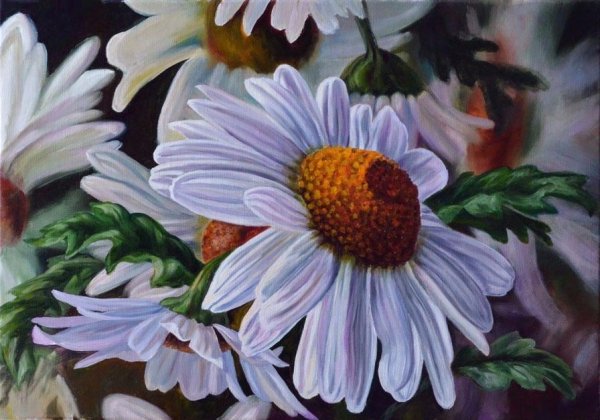 Живопись цветами ромашки