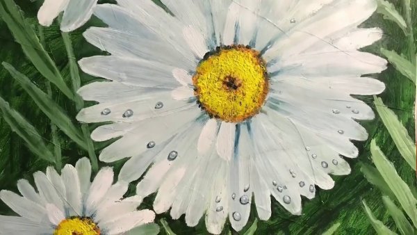 Рисование ромашек масляными красками