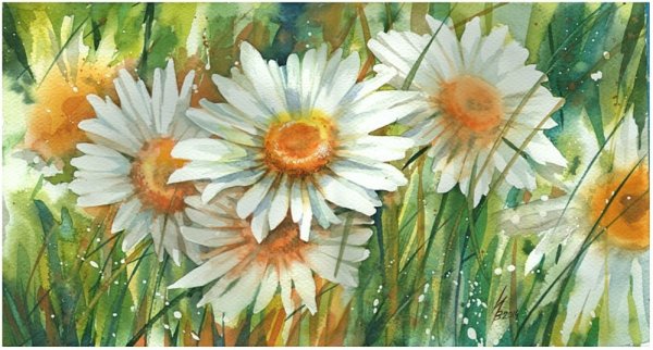 Акварель ромашки