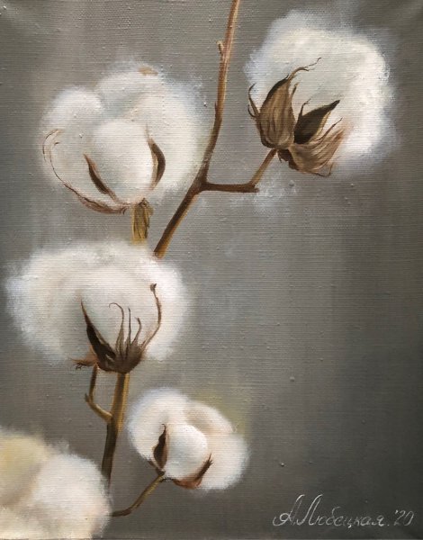 Хлопок цветок