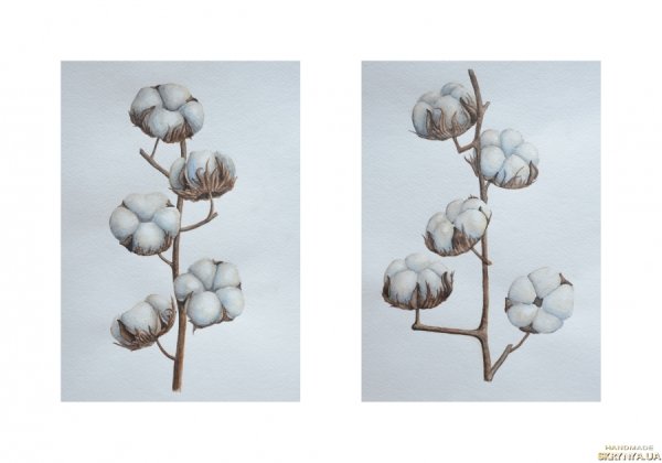 Картина хлопок