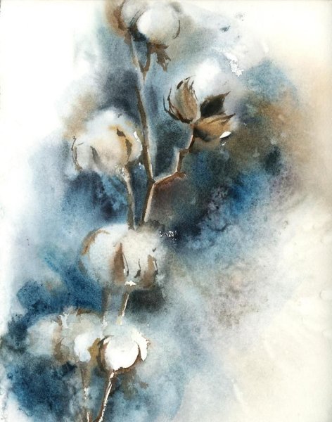Ветка хлопка акварелью