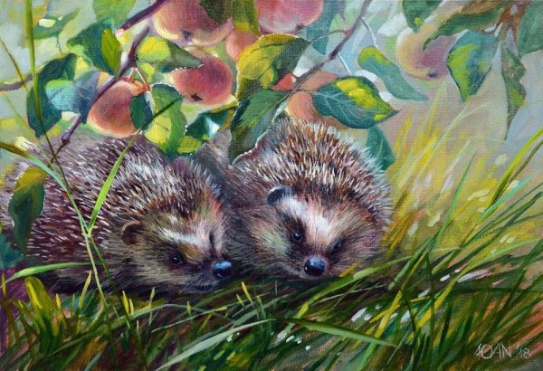 Неприятель Юлия Александровна художник ежики