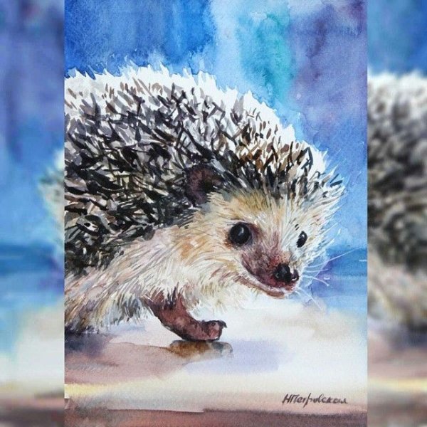 Ёж в красках