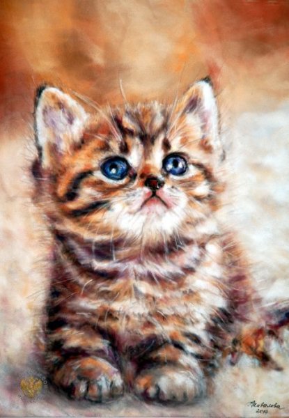 Котенок пастелью
