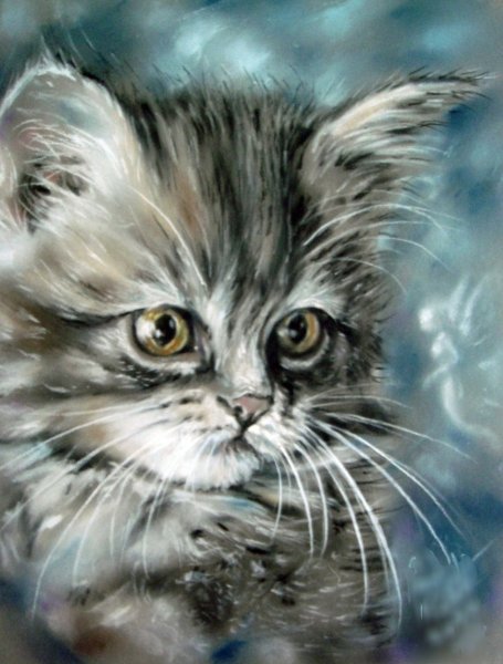 Котенок пастелью