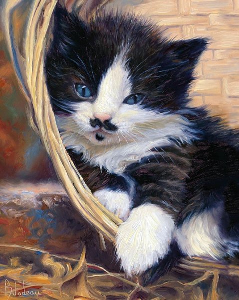 Коты художник Люси Билодо