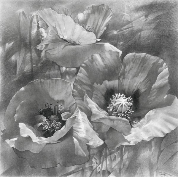 Картина углем дерево