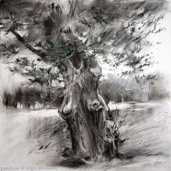 Капуста натюрморт карандашом