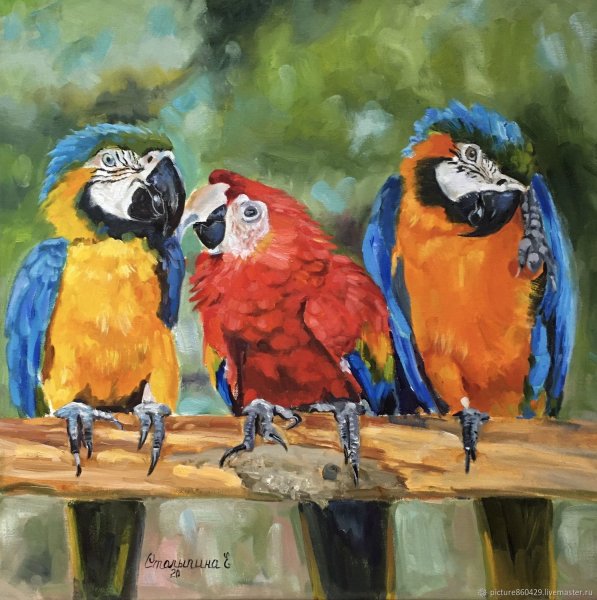 Картина два попугая