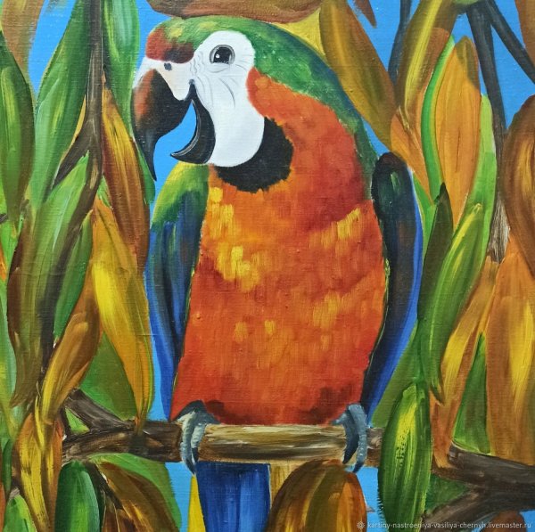 Попугай живопись