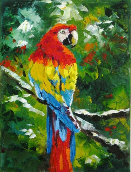 Попугай маслом