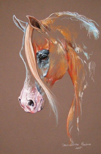 Paulina Stasikowska художник