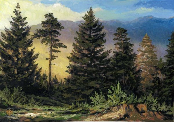 Шишкин еловый лес картина