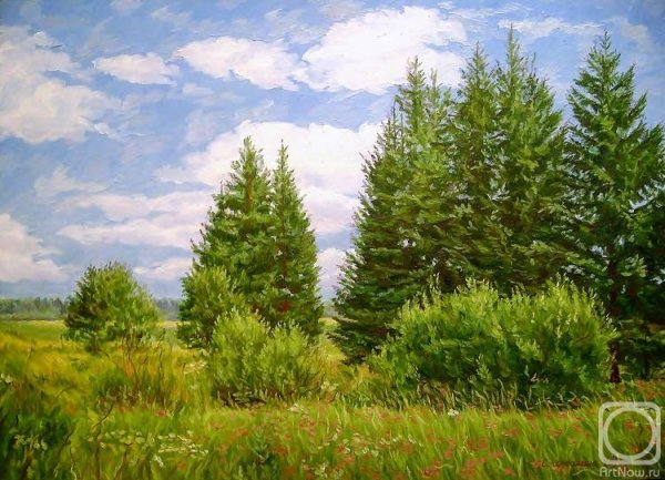 Художник Сергей Черкашин Боровичи