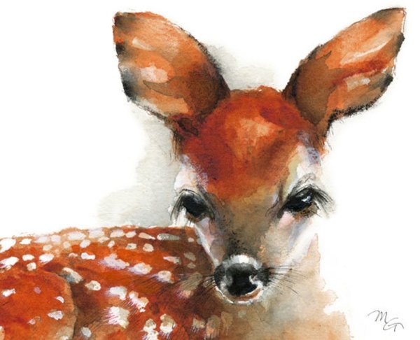 Олень акварелью
