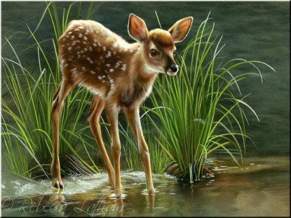 Художник Rebecca Latham