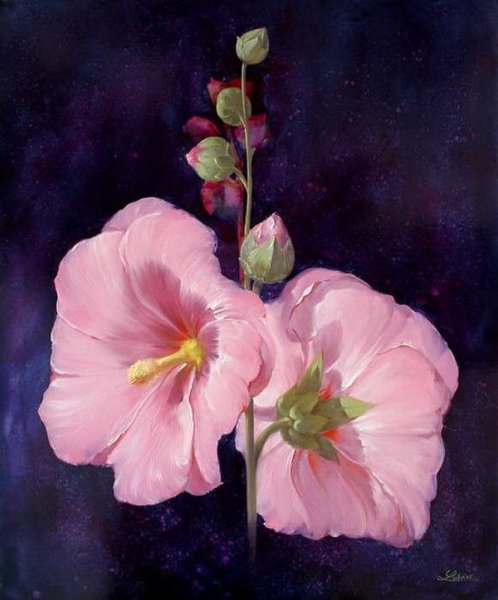 Людивин Короминас цветы