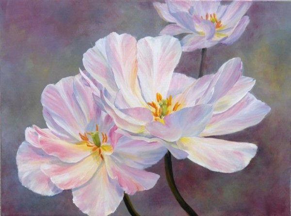 Пионы Marianne Broome