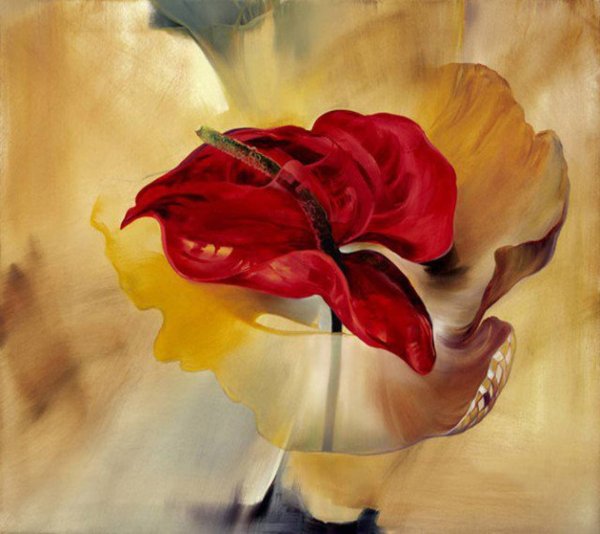 Цветы Данн Харр