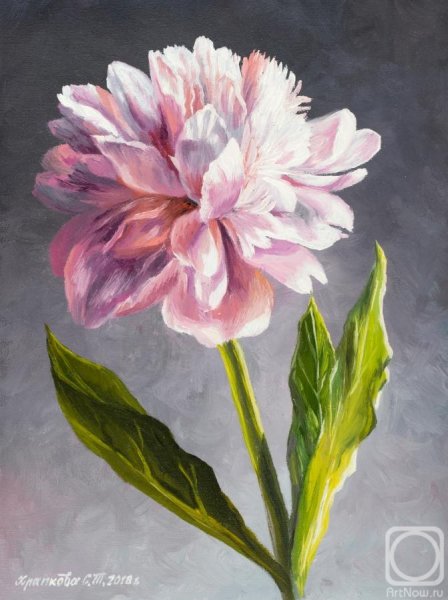 Художник Храпкова Светлана пионы