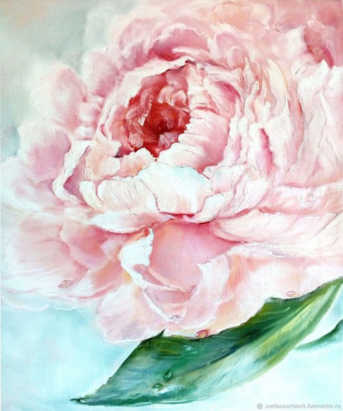 Пастельный Ганс пион