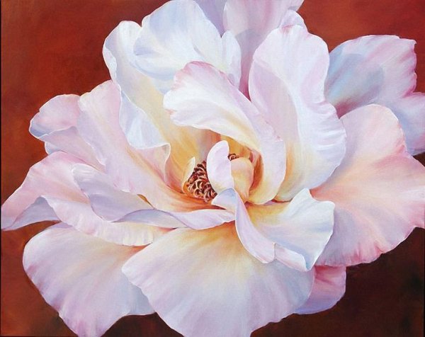 Пионы Marianne Broome