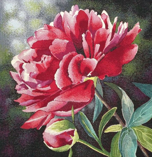 Cathy Hillegas пионы