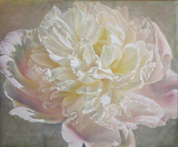 Художник Табачковская пионы