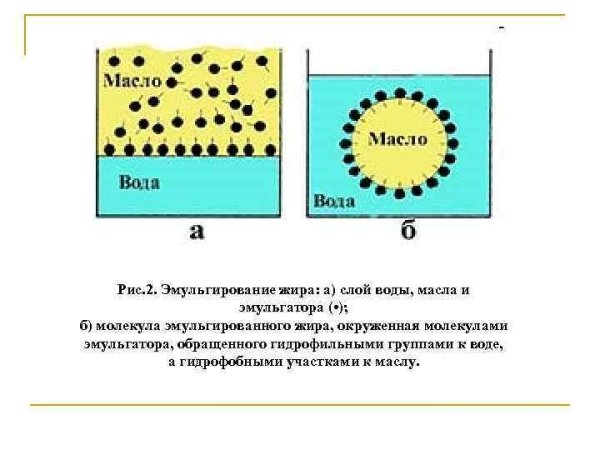 Схема эмульгирования капли жира