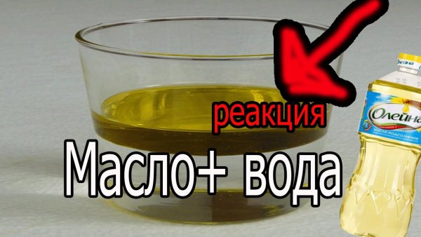 Опыт с водой и маслом растительным