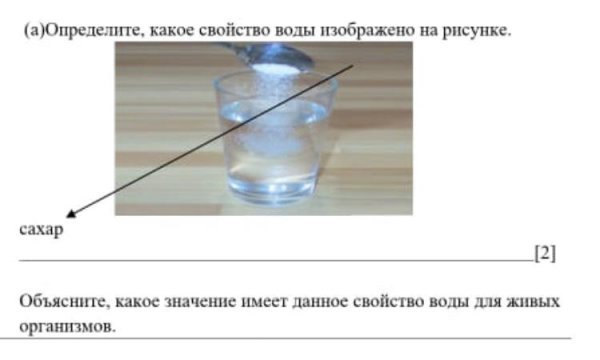 Какое свойство жидкости изображено на рисунке