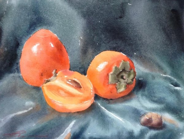 Хурма акварелью
