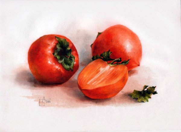 Ягоды акварель Анастасия Беседина