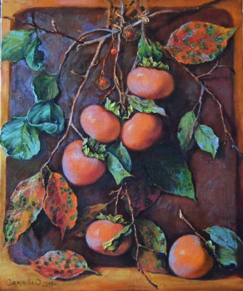 Хурма картина