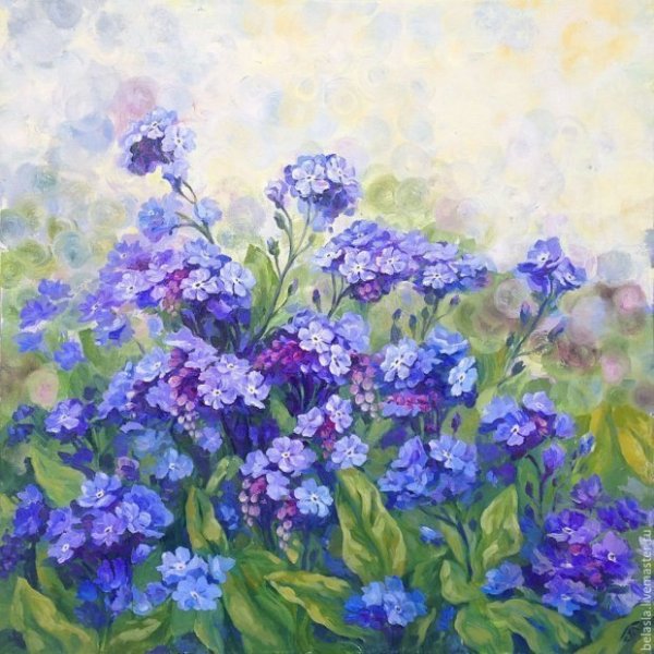 Лесохина незабудки