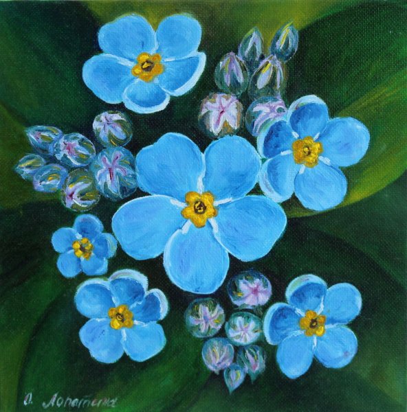Картина незабудки