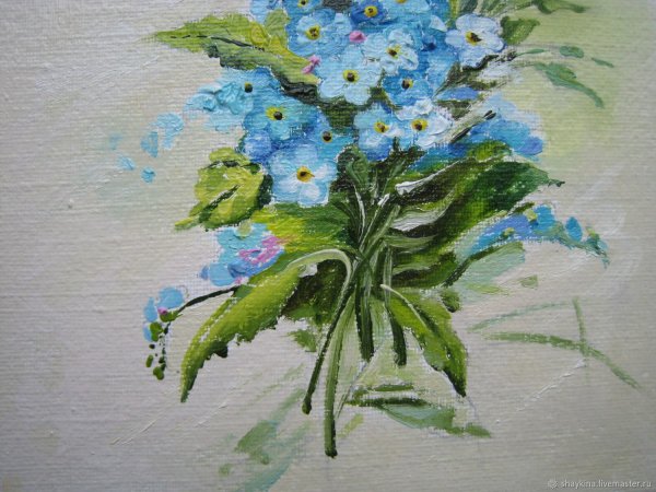 Незабудки красками