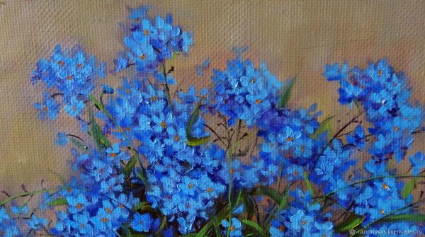 Лесохина незабудки