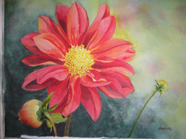 Цветок георгин маслом